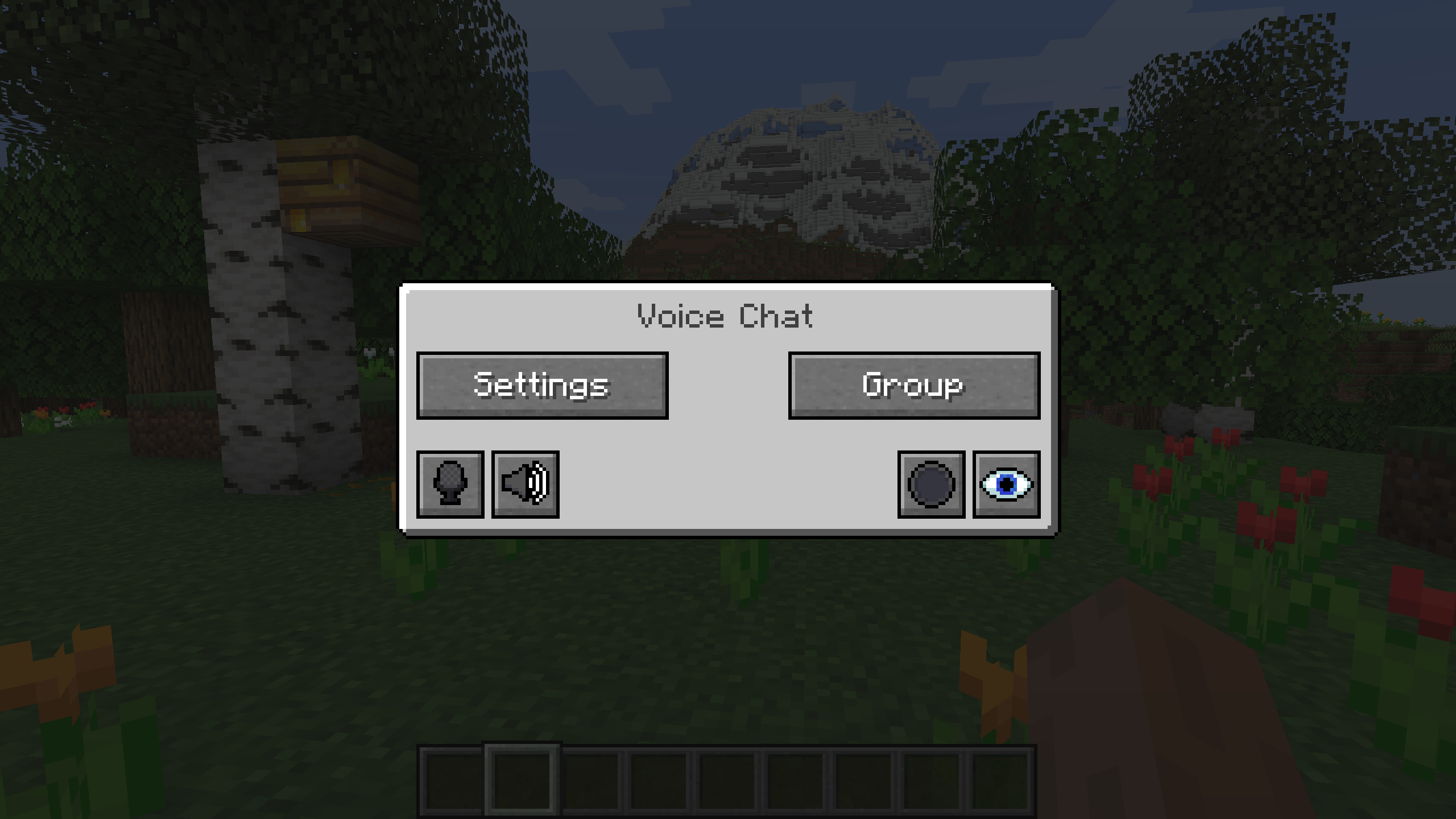 Voice Chat GUI
